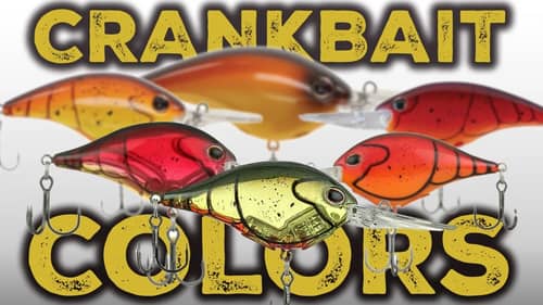 Spring Crankbait Bass Fishing | Spawn Fish Transition Bait Size & Color Selection