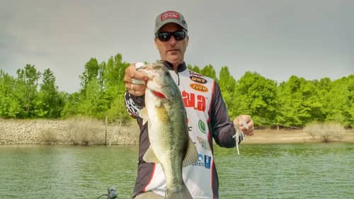 Key Aspects of Spinnerbait Fishing Bass