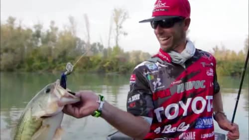 How-to Fish the Molix Lover Vibrating Jig with Mike Iaconelli