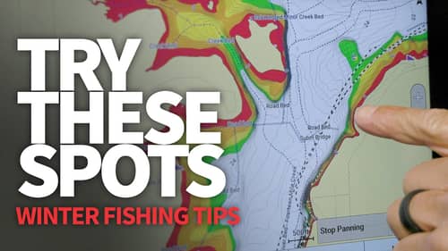 WINTER Bass Fishing TIPS (Gear, Bass, Spots)