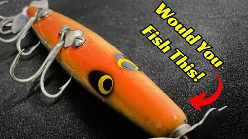 This IS The First Topwater You Should Fish With In The Late Winter/ Early Prespawn Period!