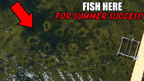Catch MORE Bass Than Your Friends This Summer Fishing HERE!
