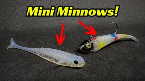 Mini Minnows To The Rescue! Have You Tried These?