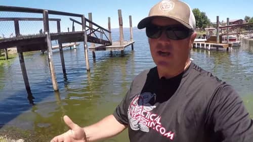 How to Catch Bass During Algae Blooms