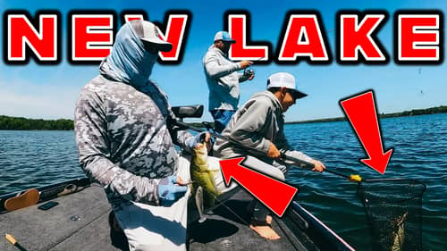 Power Fishing VS Finesse Fishing: Finding Bass In A New Lake!