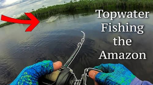 The Biggest One They've Ever Seen + Topwater Fishing In the Amazon