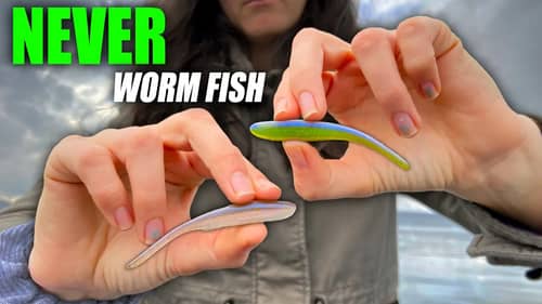 What I WISH Someone Would've Told me About Soft Plastic Worm Fishing in Winter