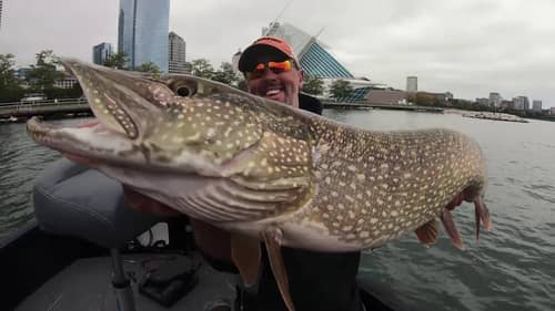 Lake Michigan Fishing out of Milwaukee with Eric Haataja Part 3