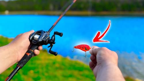 The most UNDERRATED spring bass fishing bait!  (how to fish a balsa wood bait)