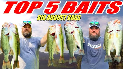 Top 5 Baits To Catch BIG BASS In August
