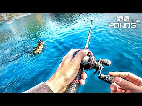 Fishing The BLUEST Pond I've Ever Seen! (100 Ponds Ep. 34)