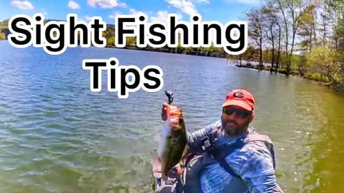 Tips and Tricks to Sight Fishing Success