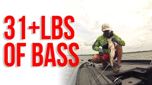 EPIC 31+lbs of Florida Bass ~ Fishing on Crack!
