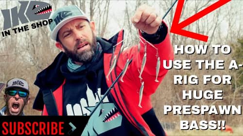 HOW TO USE AN A-RIG FOR BIG PRESPAWN BASS!