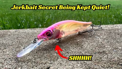 The Pro’s Are Keeping Quiet This Jerkbait Secret!