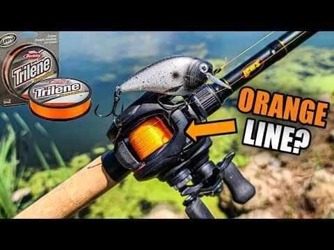 Orange Line Bass Fishing Challenge (Interesting Results!)