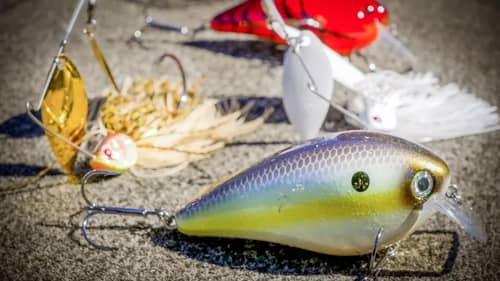 Spinnerbaits, Crankbaits, and More... Early Spring Gear Review!