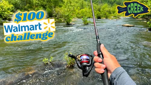 Smallmouth Bass $100 Walmart Budget Challenge