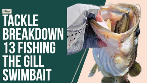 13 Fishing - Coalition Bait Co The Gill Swimbait for Super Calm and Clear Water