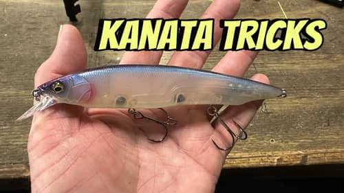 The Jerkbait That Has A Cult Following Among Touring Bass Pros…