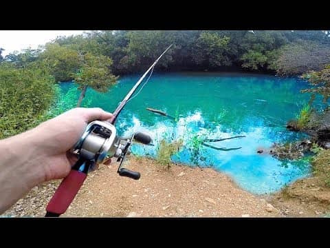 RARE Bass Caught In Urban Swimming Area -- (Austin Texas Fishing)