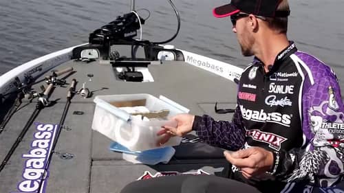 Why to Spool Fishing Line on Reels with Braid Backing