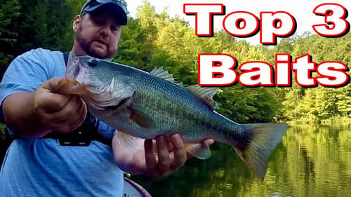 Top 3 Baits For September - Catch Bass Guaranteed!