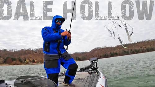 Bass Fishing DALE HOLLOW Lake In The SPRING! Crushing Them On MO BLING RIGS!