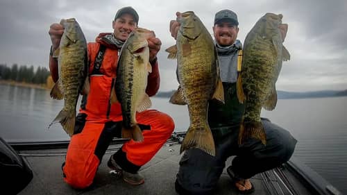 Fall To Winter Transition - New Lake, New State, Big Bass