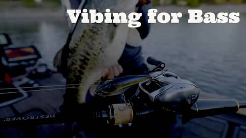 Vibing for Largemouth Bass  - Nomad Swimtrex Lipless Crankbait