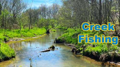 Searching for the Creek GREEN Fish (Not Bass)