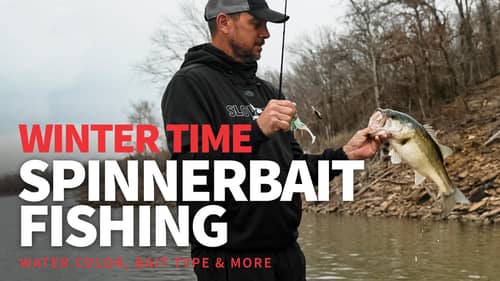 Winter SPINNERBAIT Fishing – Do you have THESE Conditions? THROW IT!