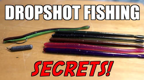 Dropshot Fishing TRICKS That WILL Catch You BIG Bass!