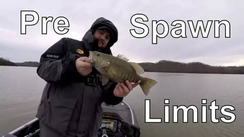 Pre Spawn Muddy Water Bass Tournament - Limits
