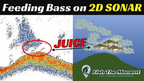 Finding The Needle In a Haystack With 2D Sonar | Big Bass on Shad with Electronics