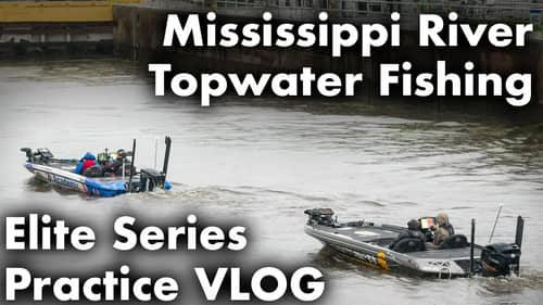 PRACTICE VLOG Topwater Mississippi River Fishing | La Crosse, WI