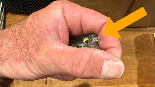 You’re Not Going To Believe What THIS Lure Does…