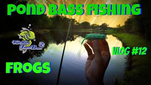 Pond Bass Fishing ~ Topwater Frogs Vlog #12