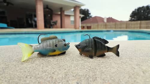 LiveTarget vs. Savage Gear SWIMBAIT Review (Which is BEST)
