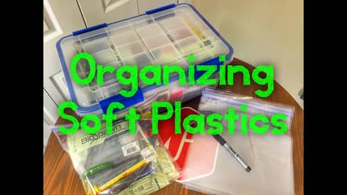 How I Organize My Soft Plastics