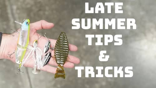 Struggling In The Dog Days Of Summer? Try These 5 Baits To Catch Fish!