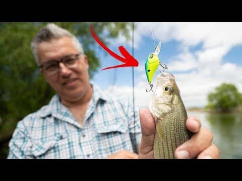 The SECRET IS OUT! -- Dad OUTFISHES Me On This Amazing Little Lure