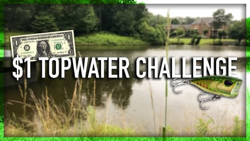 $1 Topwater FISHING Challenge!!!  (Ft. Fishing With Norm)