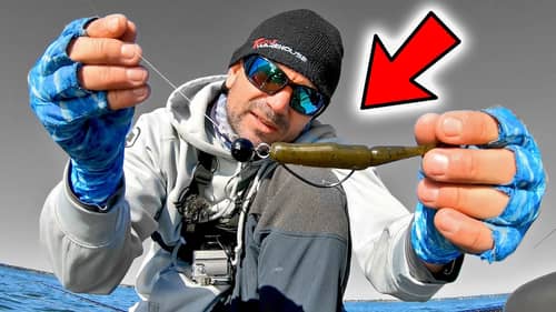 MUST try SWIMBAIT Rig for Spring BASS Fishing + (Fish RESCUE!)