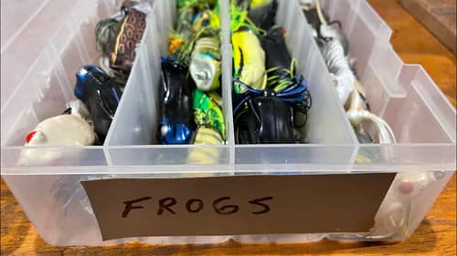 Why You Struggle To Catch Bass On Frogs