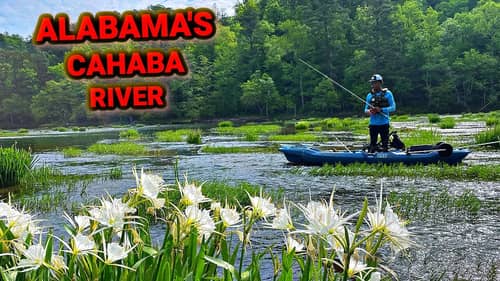 Fishing Alabama's Scenic River (Loaded!!)