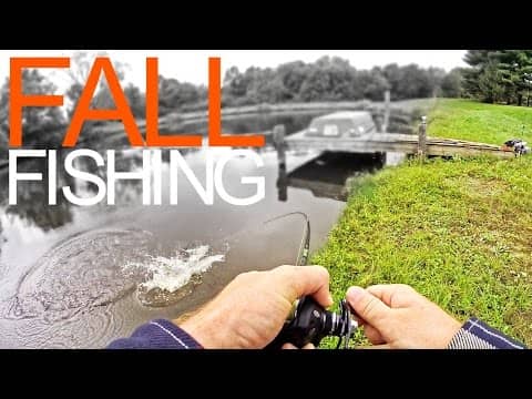 EPIC Fall Bass Pond Fishing!!!