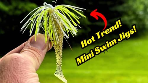 New Trend Alert! Mini Swim Jigs Are Here To Stay!