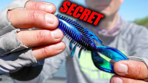 I WISH I knew This about FLIPPING when I started BASS Fishing!   (Everything you NEED to Know)