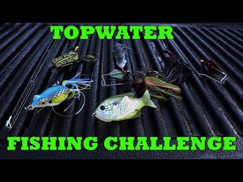 Topwater Lure Fishing Challenge ($1,000 Dollar Mistake)